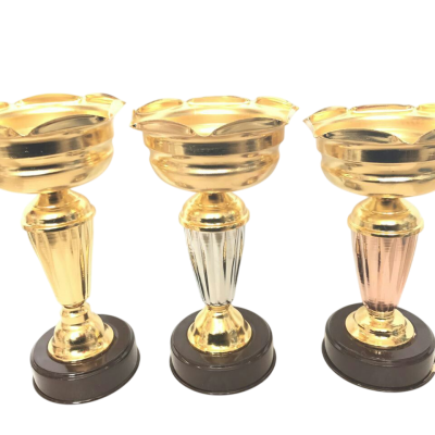 کاپ قهرمانی عمده