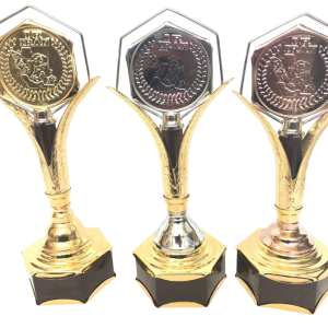 کاپ قهرمانی ایران