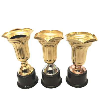 کاپ قهرمانی عمده