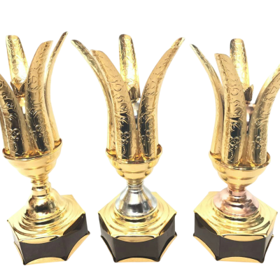 کاپ قهرمانی عمده