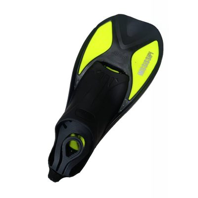 فین شنا می سی سی پی