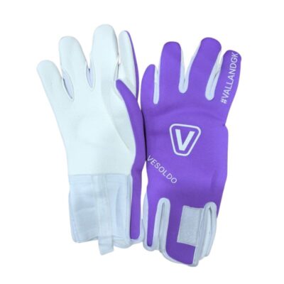 دستکش دروازه بانی